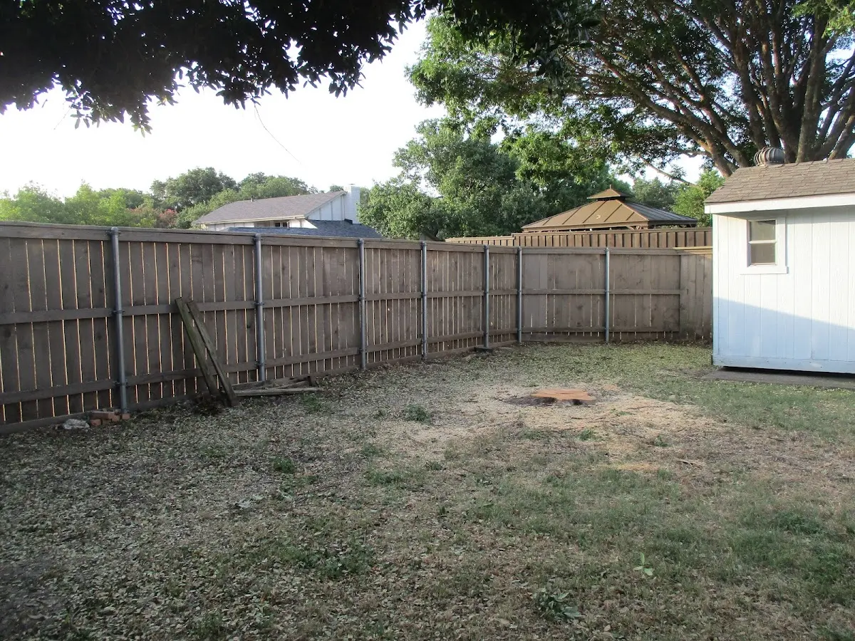 Cleared yard after professional tree removal in Saint Stephens